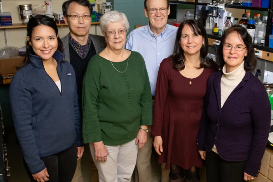 Researchers including, from left, graduate student Valeria Sanabria Guillen, research scientist Sung Hoon Kim, researcher Kathy Carlson, chemistry professor John Katzenellenbogen, research specialist Yvonne Ziegler, and molecular and integrative physiology professor Benita Katzenellenbogen developed new drug agents to inhibit a pathway that contributes to cancer. The compounds killed cancer cells and reduced the growth of breast cancer tumors in mice.  