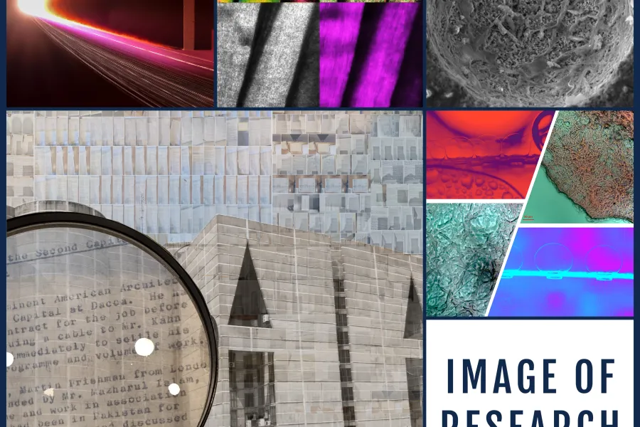 a collage of some of the images from the 2024 Image of Research competition