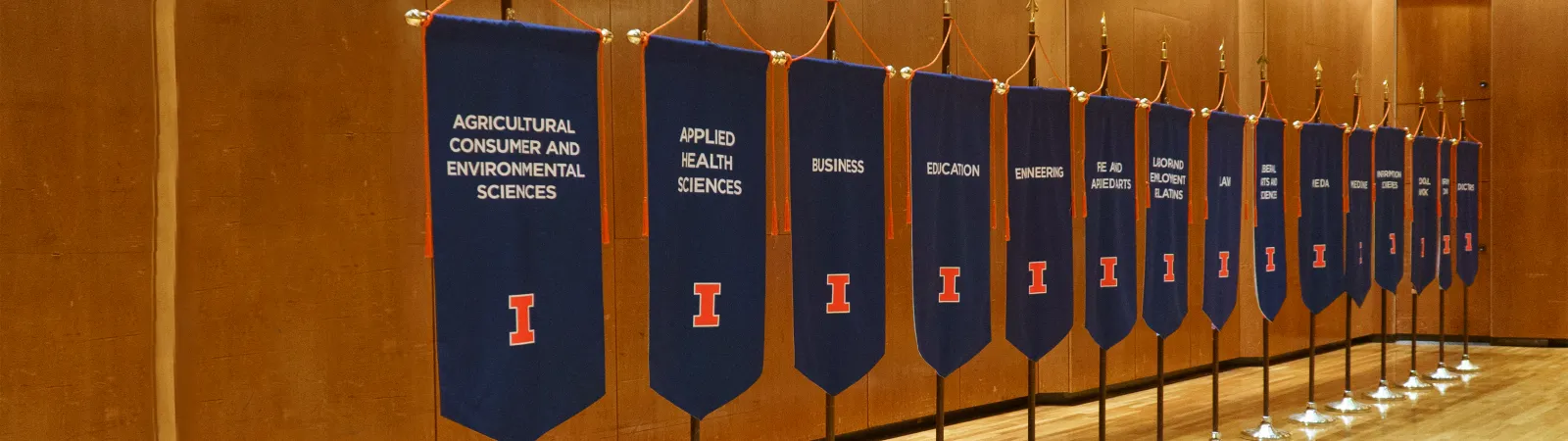 Gonfalons of every college