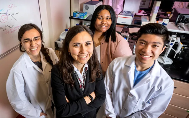 Targeting estrogen receptor-positive breast tumors with the XPO1 antagonist selinexor and the tamoxifen byproduct 4-OHT simultaneously rewires the cells’ metabolism to overcome endocrine resistance, University of Illinois researchers  found in a new study.  