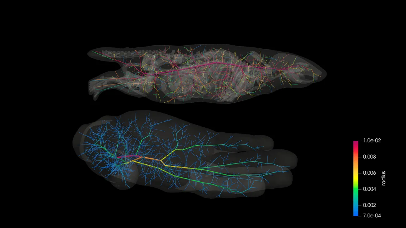 Synthetic Symbiosis A Cruelty-Free Future